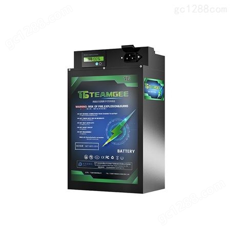 TG锂电池大容量60V电动车48V外卖专用三轮车摩托车72V三元锂电瓶