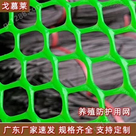 广东塑料平网 小孔平垫塑料网 白色化工阻燃塑料网 可裁片  戈慕莱