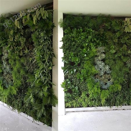 金森造景-仿真植物墙绿植厂家 垂直绿化装饰 绿植墙 背景花墙