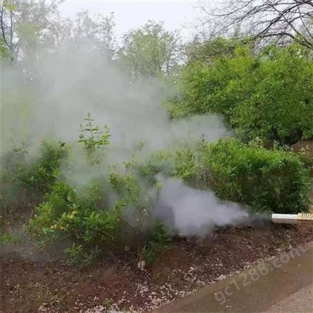 弥雾机农用高压喷雾器 背负式汽油脉冲烟雾机 果树小区消毒机