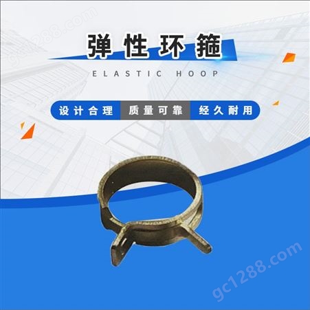 耐腐蚀排水管用卡箍 卡箍生产 强力喉箍 天津生产厂家