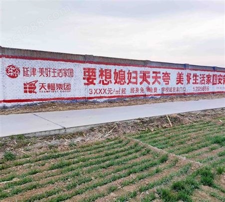 庆阳正宁外墙广告字多少钱, 墙体广告案例