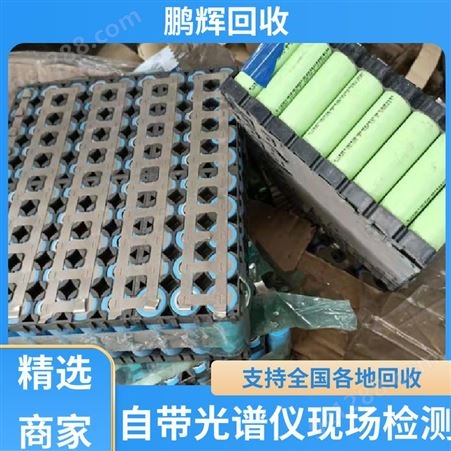 鹏辉能源 厂家直购 汽车电池回收 经久耐用 品牌商家