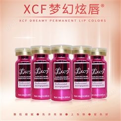 广州XCF炫彩坊梦幻炫唇，，品质，上色快，留得住色