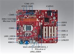 研华多接口主板 AIMB-501Vg/G2 Intel Core i7/i5/i3 LGA1155