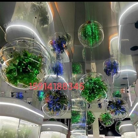飞剑亚克力圆球室内美陈植被装饰透明景观球工厂直销