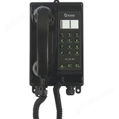 HAG-1 壁挂式自动电话 船用声力自动电话机 双音频按键